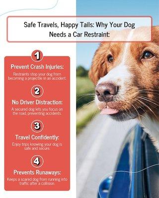 Your furry co-pilot deserves a safe ride every time.  Car restraints aren't just about preventing distractions--they're abou...