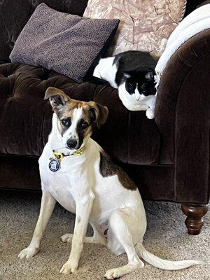 Piper and visitor Oliver