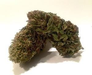 Offering Cannabis CBD Hemp Flower Premium Buds at Wholesale Prices Now!