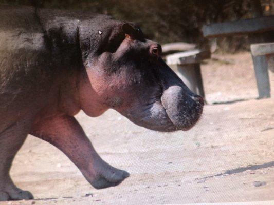 Amazing facial by Carly!  Ninety minutes of pure bliss with incredible organic products that left my face glowing and moisturized.
