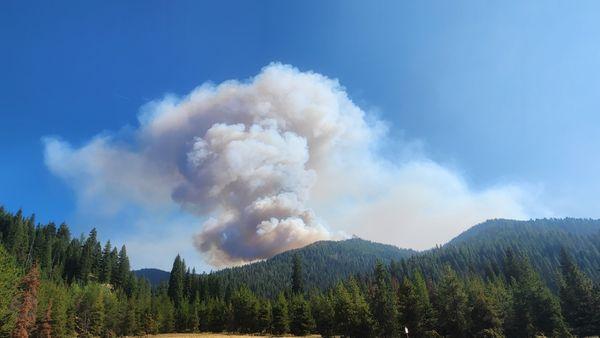 Southern Idaho Timber Protective Assn