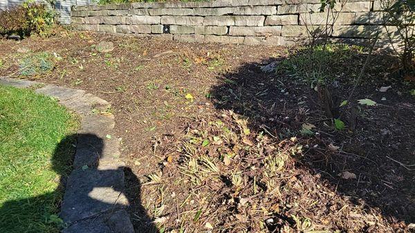 Better Green Landscape