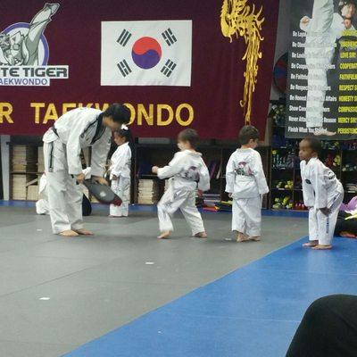 White Tiger Taekwondo
