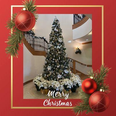 Christmas 2025 - the holiday tree is amazing!