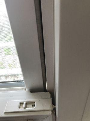 Pacific Glass Service