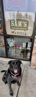 Loki's favorite store!