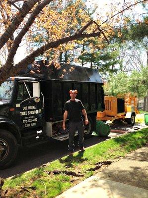 Joe Marra Tree Service