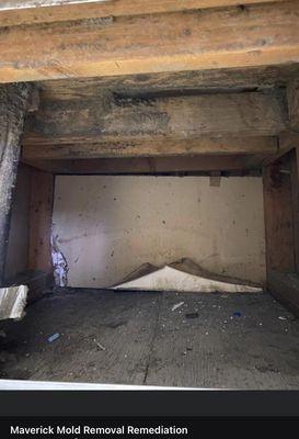 Maverick Mold Remediation & Flood Response