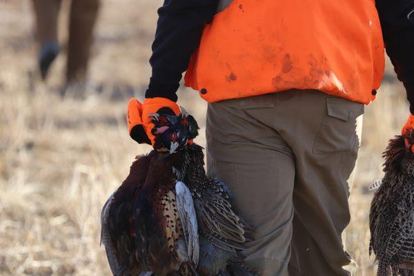 McCullom Lake Hunt Club