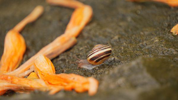 Please step carefully for the other residents and visitors of of NFSP! Thank YOU!!