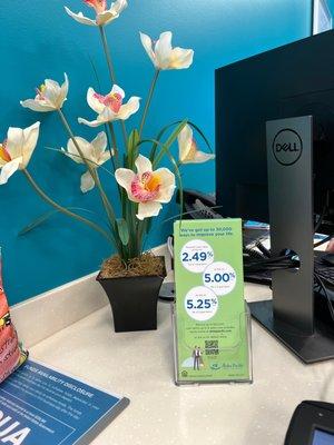 Ways to improve your life!