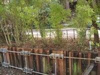 Baumsteiger Construction Inc., Woodacre CA 94973