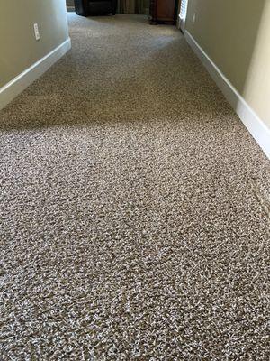 Healthy Living Carpet & Tile Cleaning