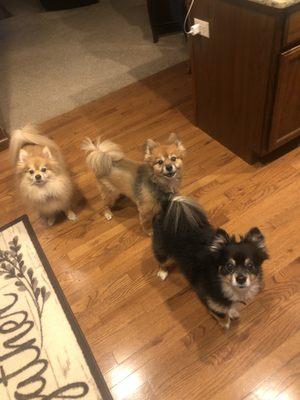 Lancaster Animal Clinic