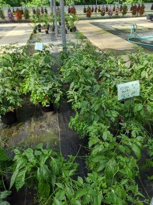 Garden Spot Greenhouse