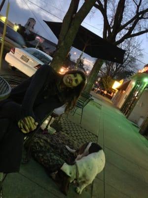 Livin' la vida bow-wow