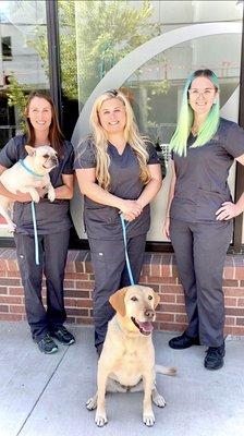 Skyline Animal Hospital