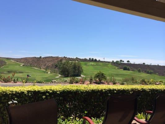 Yes, this is the actual view from our outdoor table at lunch.