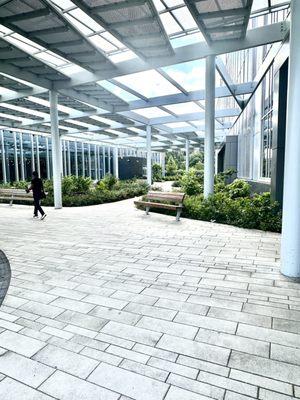 Lots of open spaces with light and living greenery incorporated