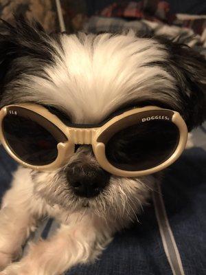 Hardin Valley Animal Hospital