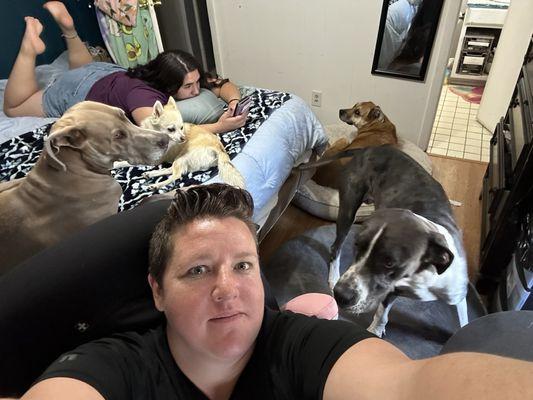 All my animals go to silt veterinary clinic!!