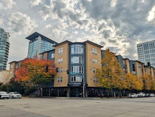 City Square Bellevue Apartments