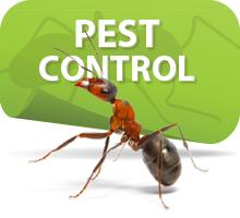 pest control solutions of louisiana