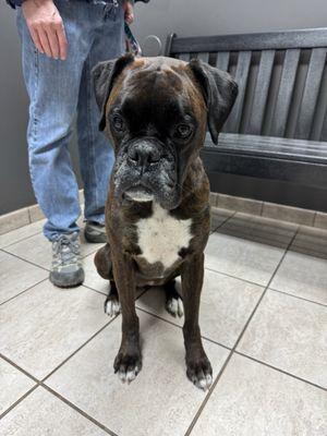 Just For Paws Veterinary Hospital