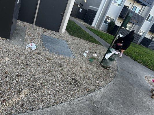 Turnleaf Apartment Homes