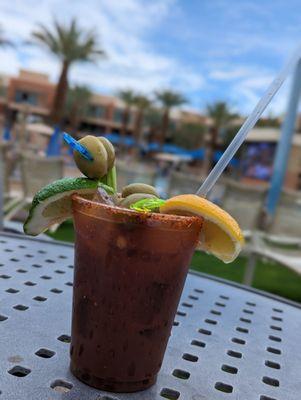 Marriott's Shadow Ridge I-The Villages