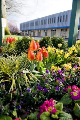 A Moment For You PLLC