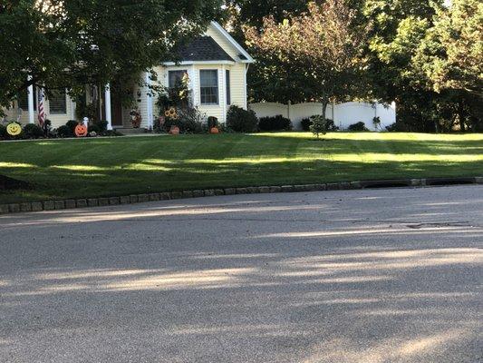 Nick Landscaping Services