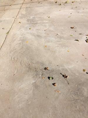 Bruce Watson Enterprises