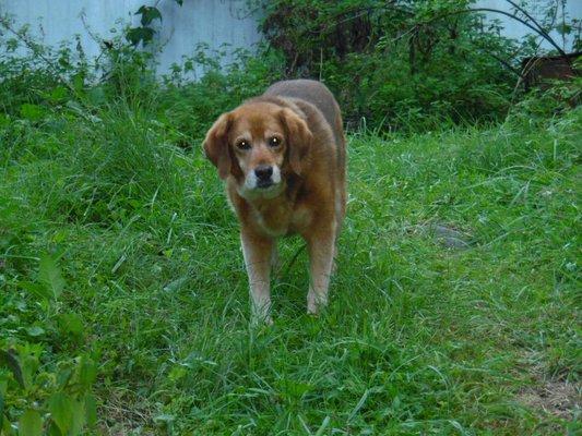 Jackson Animal Clinic