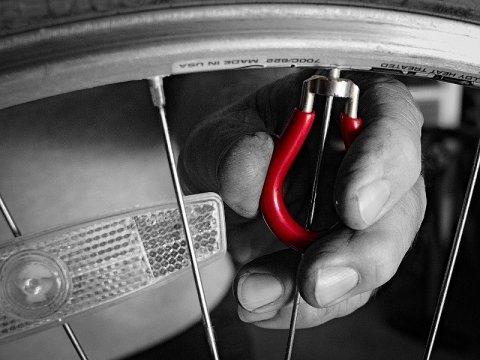 Venice Bikes and Trikes