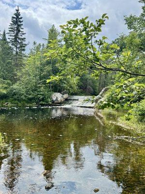 Dam going into the Trout River