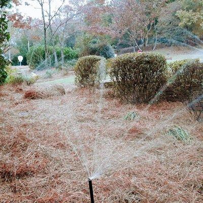 Illumigation Services