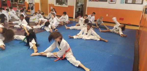 Kids made taewkondo class