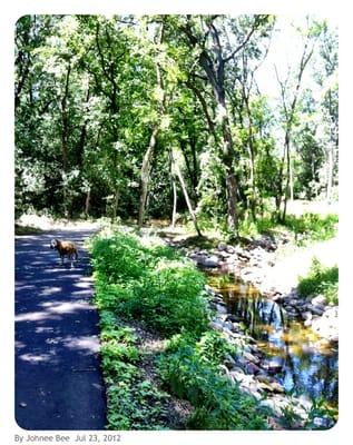 Just taken. There's Auggie again!