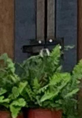 Texas Home & Garden Center