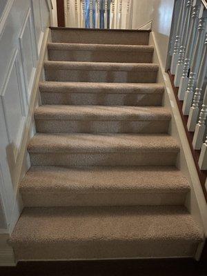 Stairs have never looked so good