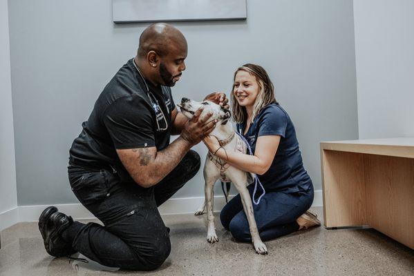 Gateway Pet Hospital