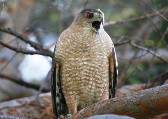 Highland Palms Senior Estates and Country Club