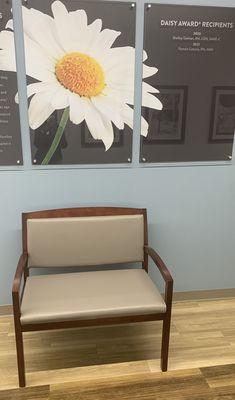 Roper St Francis Berkeley