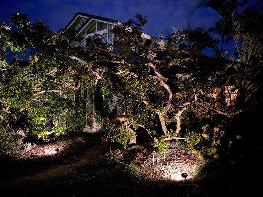 Solstice Landscaping