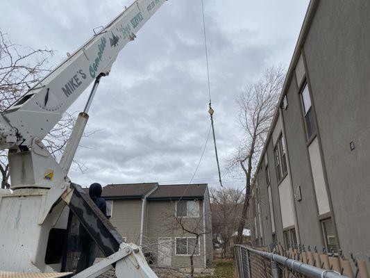 Mike's Complete Tree Service