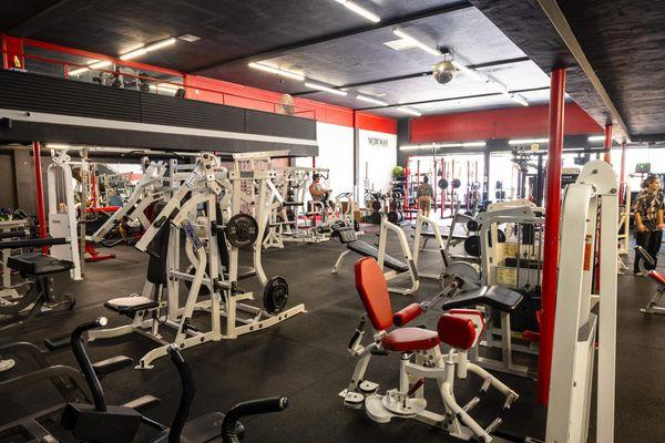 Stallion Arena Fitness