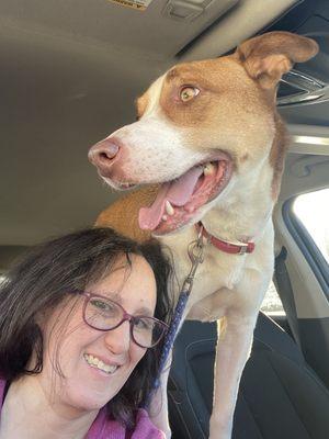 My dog immediately after the vet