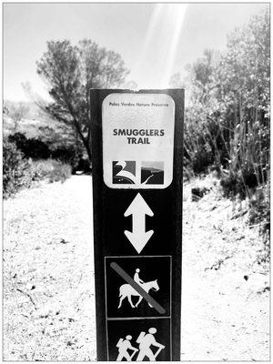 Smuggler is my middle name. Lol. #ArghMatey #Treasuretrailmap