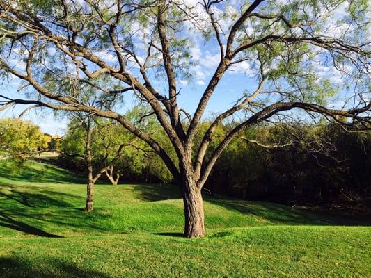 Fish Creek Linear Park